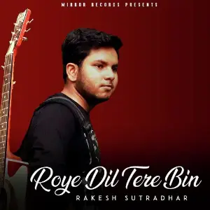 Roye Dil Tere Bin image