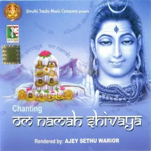 Om Namah Shivaya image