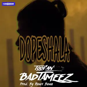 Toofan Badtameez image