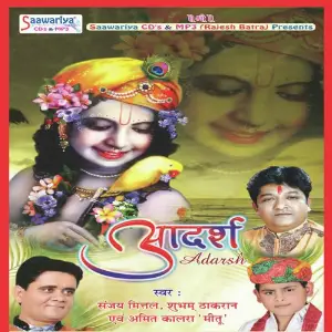 Adarsh Sanjay Mittal, Shubham Thakran, Amit Kalra