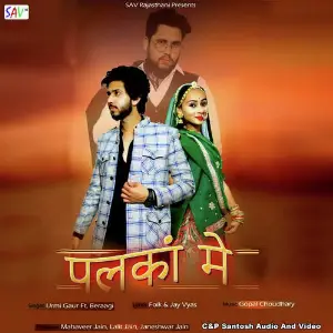 Palka Mein image
