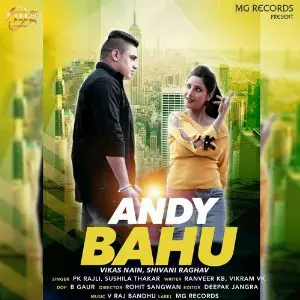 Andy Bahu image