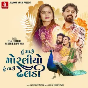 Tu Maro Moraliyo Hu Tari Dheladi image