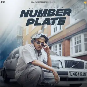 Number Plate image
