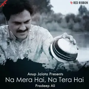 Na Mera Hai Na Tera Hai image