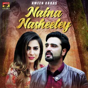 Naina Nasheeley - Single image