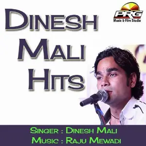 Dinesh Mali Hits image