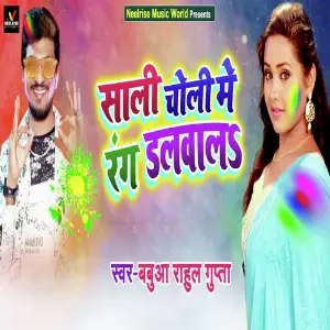 Sali Choli Me Rang Dalwala image