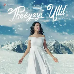 Theeyayi Ullil image