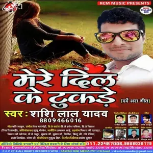 Mere Dil Ke Tukre image