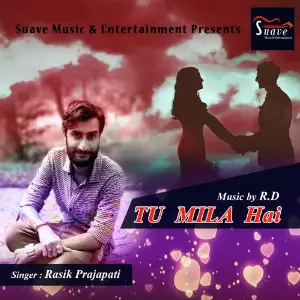 Tu Mila Hai image
