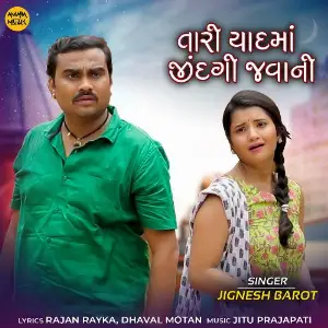 Tari Yaadmaa Zindagi Jaavani image