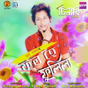 Ful Hoi Fulila image