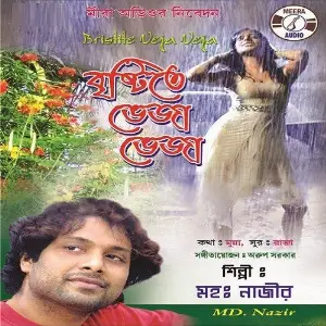 Bristi Ta Bheja Bheja image