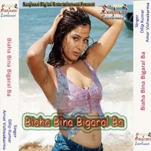Biaha Bina Bigaral Ba image