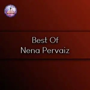 Best of Nena Pervaiz image