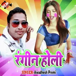 Rangin Holi image