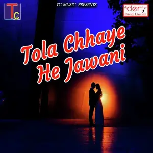 Tola Chhaye He Jawani Various Artists