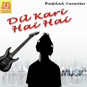 Dil Kari Hai Hai Various Artists
