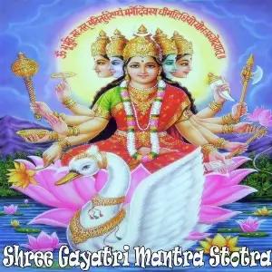 Shree Gayatri Mantra Stotra image