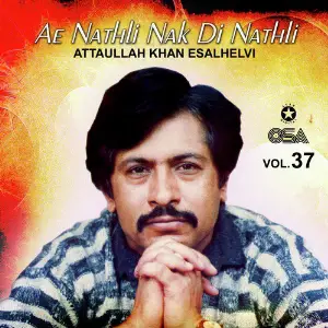 Ae Nathli Nak Di Nathli, Vol. 37 image