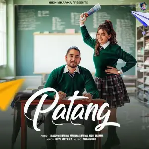 Patang image