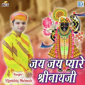 Jai Jai Pyare Shrinathji image