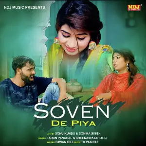 Bijli Ke Taar Tarun Panchal (TR Music), Sheenam Katholic