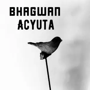Acyuta image