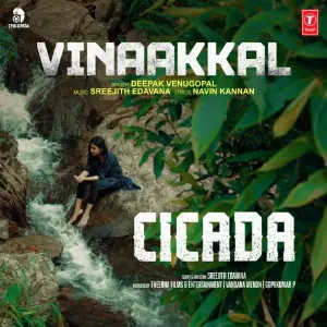 Vinaakkal (From Cicada) image