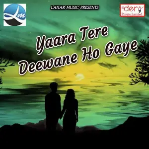 Yaara Tere Deewane Ho Gaye Various Artists