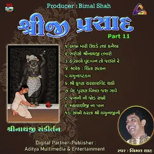 Shreeji Prasad-Shreenathji Sankirtan Pt.11 image