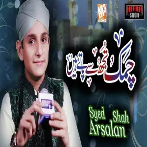 Chamak Tujhse Paate Hain - Single image