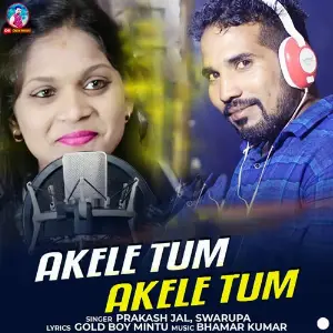Akele Hum Akele Tum image