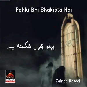 Pehlu Bhi Shakista Hai image