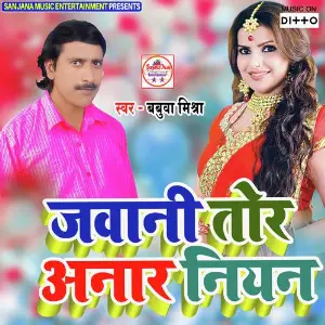 Jawani Tor Anar Niyan image