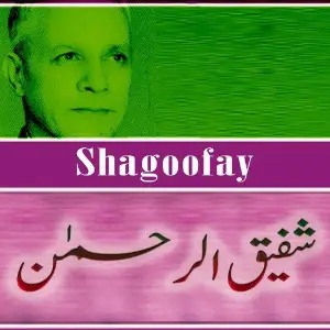 Shagoofay image