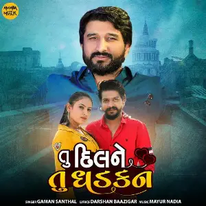 Tu Dil Ne Tu Dhadkan image