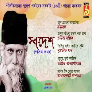 Swadesh, Vol. 8 image