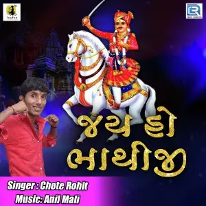 Jay Ho Bhathiji image