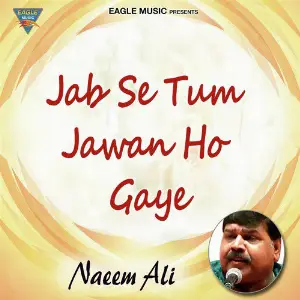 Jab Se Tum Jawan Ho Gaye - Single image