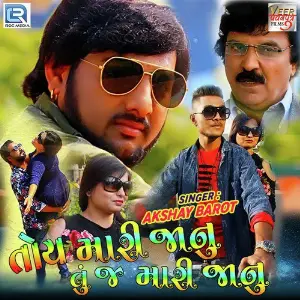 Toy Mari Janu Tuj Mari Janu image