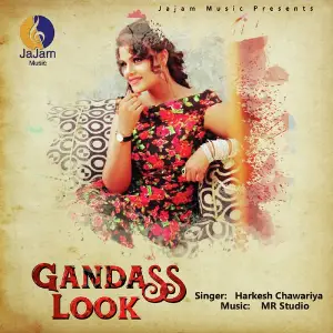 Gandass Look image