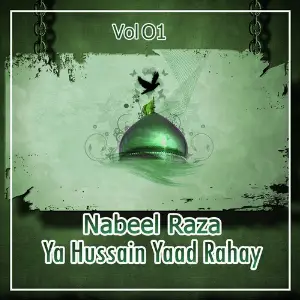 Nabeel Raza - Ya Hussain Yaad Rahay, Vol. 1 image