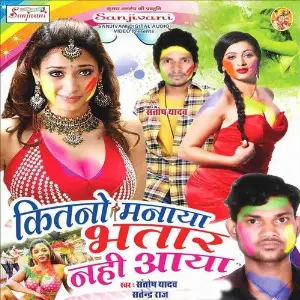 Kitno Manaya Bhatar Nahi Aaya image