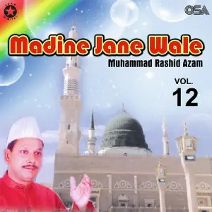 Madine Jane Wale, Vol. 12 image