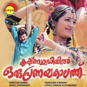Krishnagudiyil Oru Pranayakalathu image
