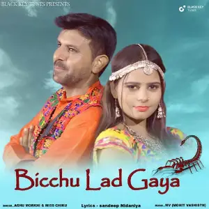 Bicchu Lad Gaya image