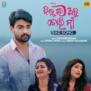 Dil Re Achi Tori Naa - Sad Song image