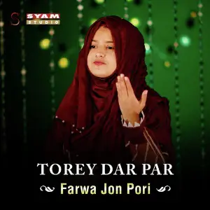 Torey Dar Par - Single image